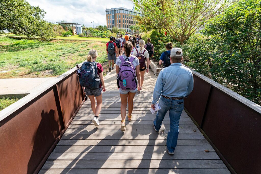 A class walks together across a bridge through a garden