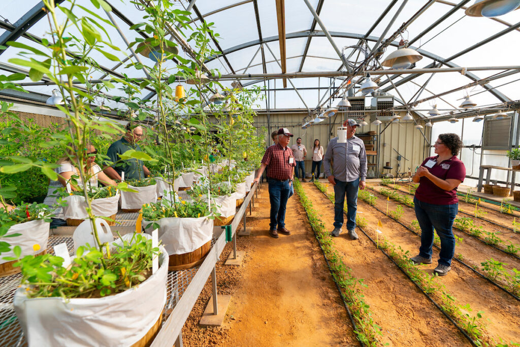 group of people standing next to rows of plants in a greenhouse
