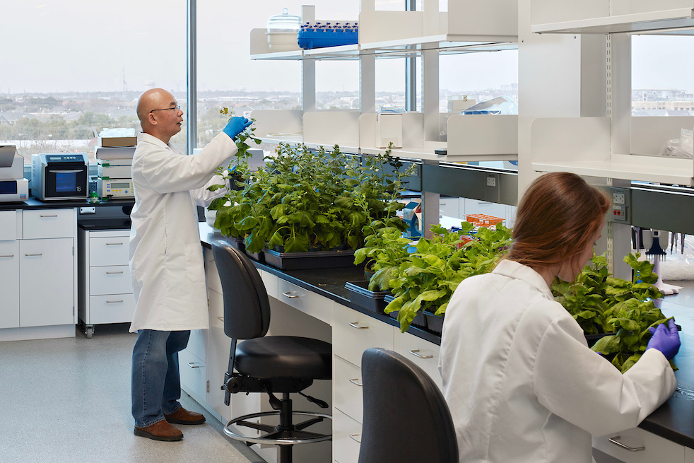 two people in lab working with various plants that are sitting across countertops