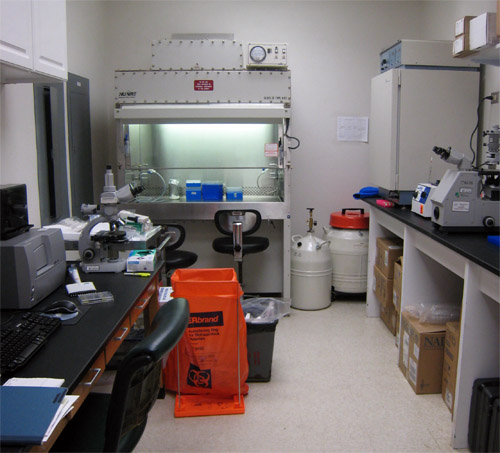 Bioactivity Lab