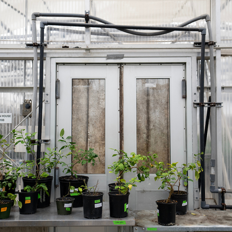 controlled environment building with plants sitting inside doors