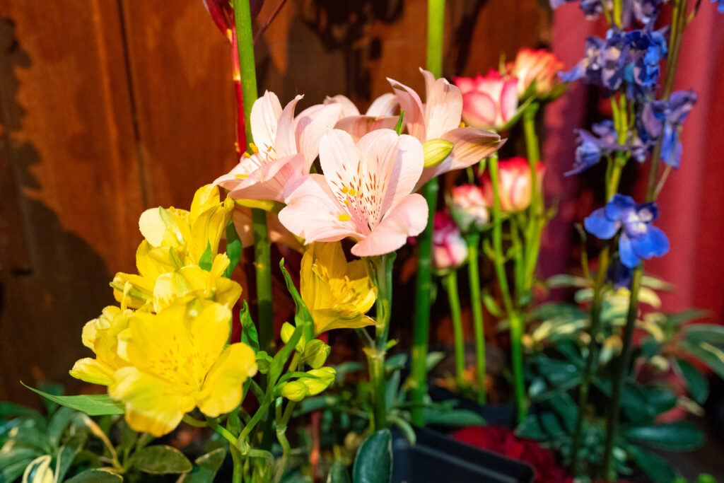 an arrangement of pink and yellow flowers