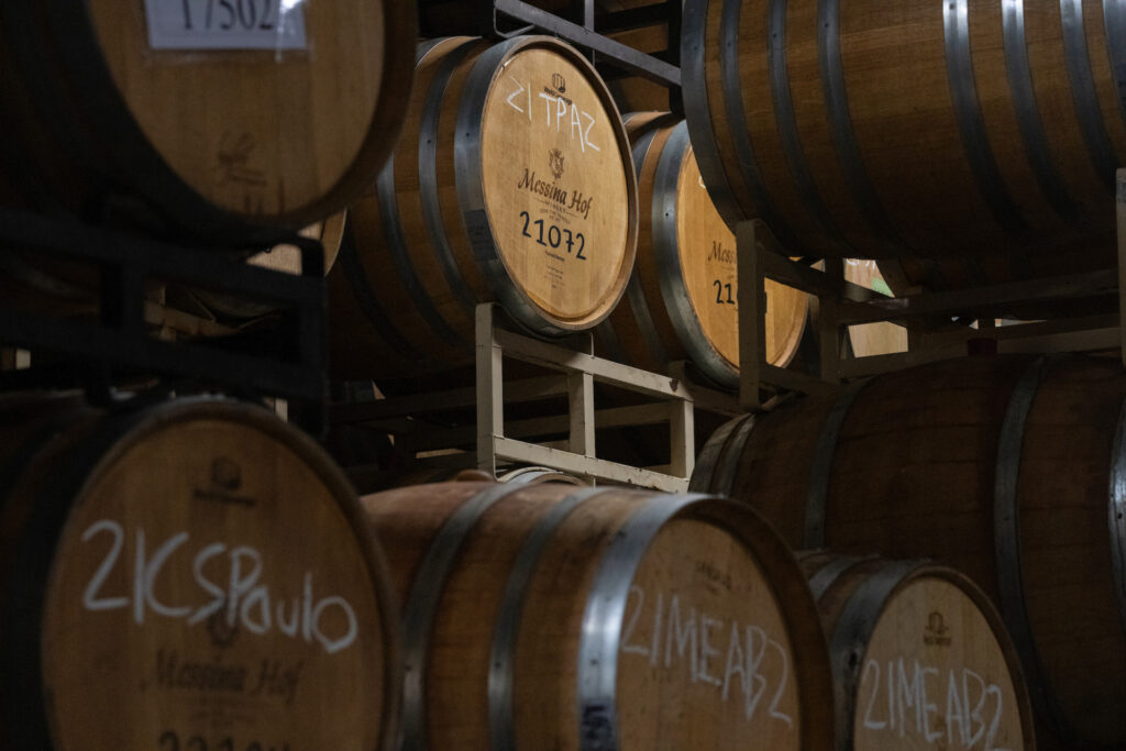 Barrels of wine stacked in a cellar