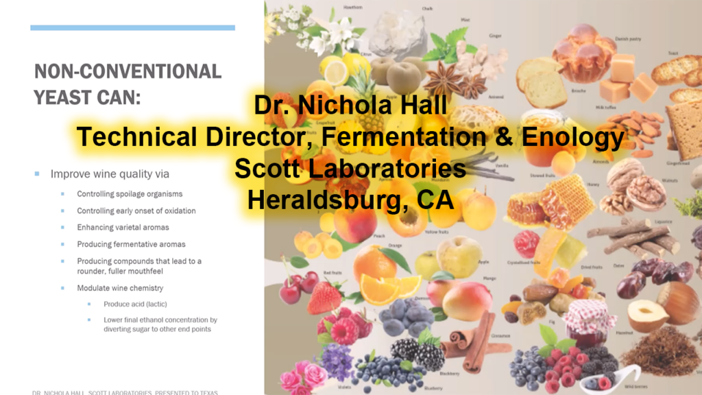 The Role of Conventional and Non-conventional Yeast in Winemaking