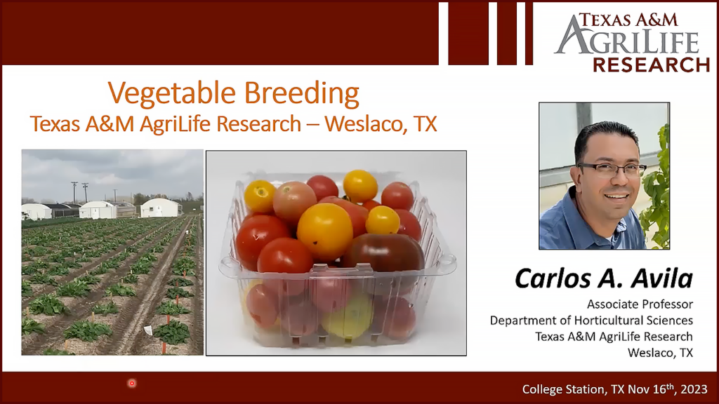Tomato Fruit Firmness: Breeding for Long Shelf Life While Conserving Quality is Now Possible