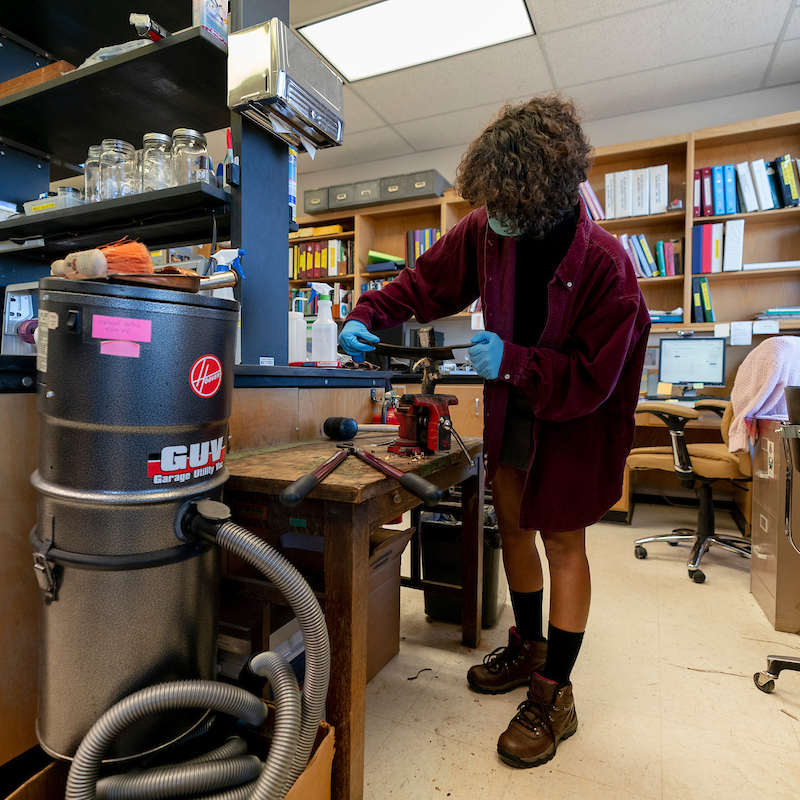 women in lab cutting a diseased piece of bark