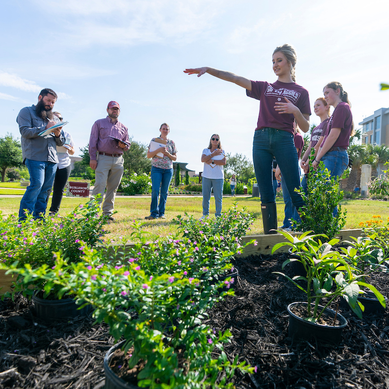 group of students working on a flower bed
