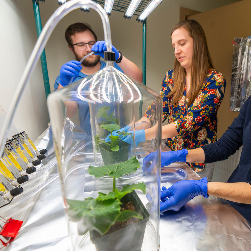 group of people working in a lab that has plants under glass dishes with tubes going into the dishes