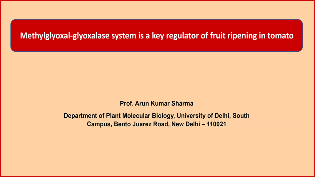 Methylglyoxal-glyoxalase system is a key regulator of fruit ripening in tomato presentation title slide
